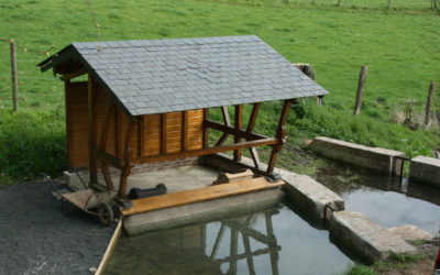 Saint-Pierre-des-Fleurs – C’est un petit lavoir…! – 2009