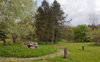 Lyons-la-Forêt et son environnement le 28 avril 2019